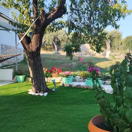 Holiday home Loukia's House Skala Kallirakhis