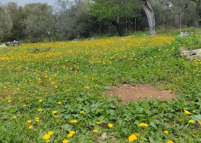 Loukia's House Skála Kallirákhis