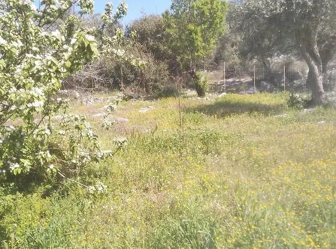 Loukia's House 펜션